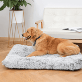 gid://shopify/MediaImage/33701370953968